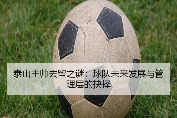 泰山主帅去留之谜：球队未来发展与管理层的抉择
